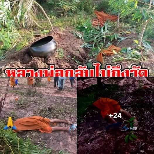 ข่าวซึ้งใจจากประเทศไทย…ดูเพิ่มเติม..